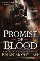 bokomslag Promise of Blood