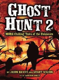 bokomslag Ghost Hunt 2