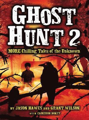 Ghost Hunt 2 1