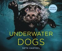 bokomslag Underwater Dogs