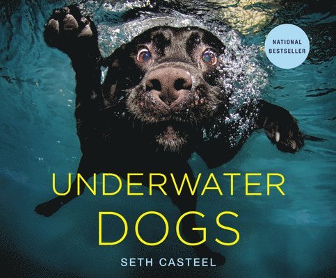 Underwater Dogs 1