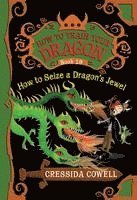 bokomslag How to Train Your Dragon: How to Seize a Dragon's Jewel