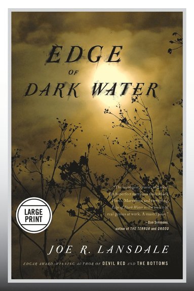 bokomslag Edge of Dark Water