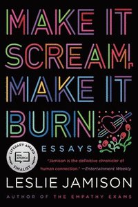 bokomslag Make It Scream, Make It Burn