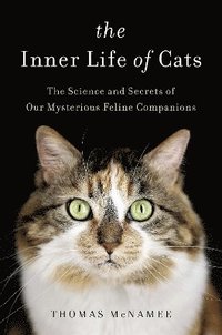 bokomslag The Inner Life of Cats