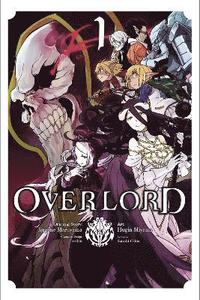 bokomslag Overlord, Vol. 1 (Manga)