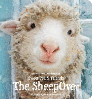 The SheepOver 1
