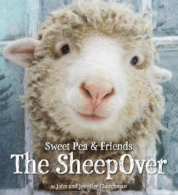 The SheepOver 1