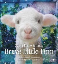 bokomslag Churchman, J: Brave Little Finn
