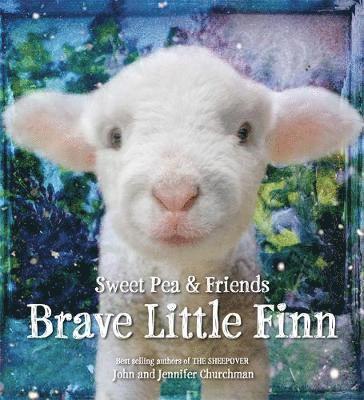 Brave Little Finn 1