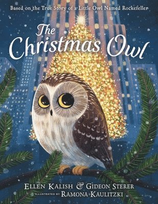Christmas Owl 1