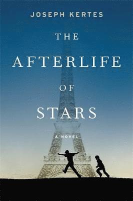 The Afterlife of Stars 1