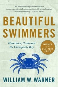 bokomslag Beautiful Swimmers
