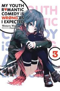 bokomslag My Youth Romantic Comedy Is Wrong, As I Expected, Vol. 3 (Novel)