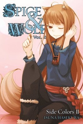 bokomslag Spice and Wolf, Vol 11 - Novel