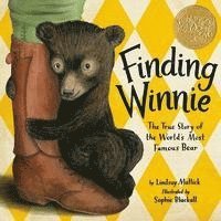 bokomslag Finding Winnie