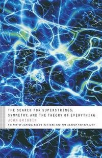 bokomslag The Search for Superstrings, Symmetry, and the Theory of Everything