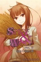 bokomslag Spice and Wolf, Vol 13 - Novel