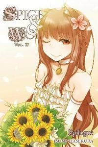 bokomslag Spice and Wolf, Vol. 17 - Novel