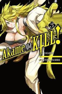 bokomslag Akame Ga Kill!, Vol. 3