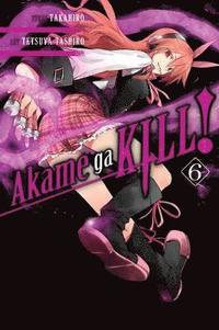 bokomslag Akame ga KILL!, Vol. 6