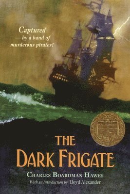 bokomslag The Dark Frigate