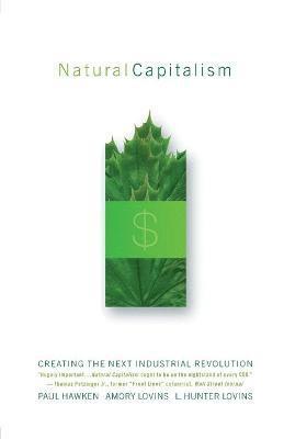 bokomslag Natural Capitalism: Creating the Next Industrial Revolution