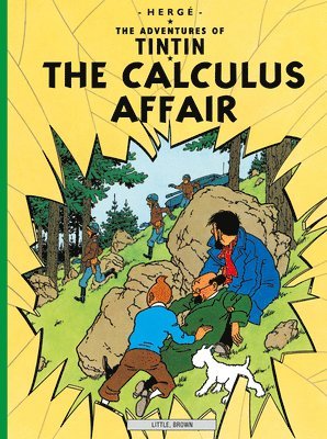 bokomslag The Calculus Affair