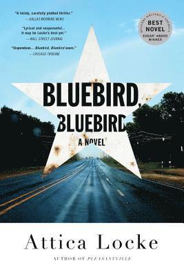 bokomslag Bluebird, Bluebird