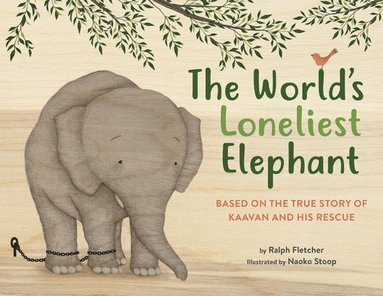 Ralph Fletcher - The World's Loneliest Elephant, Inbunden