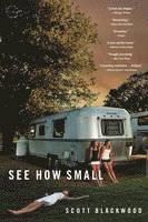 Scott Blackwood - See How Small, Häftad