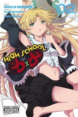 bokomslag High School DxD, Vol. 2