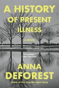 bokomslag A History of Present Illness