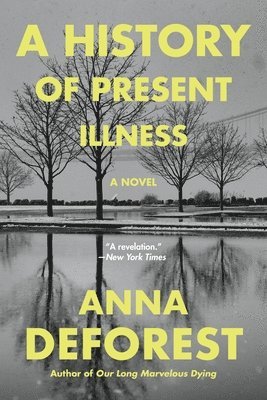 bokomslag A History of Present Illness