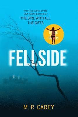 Fellside 1