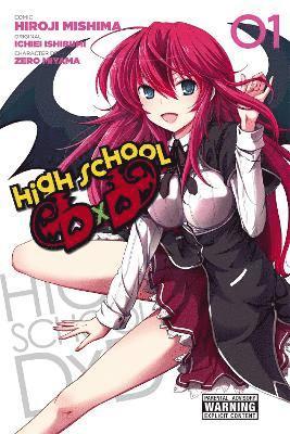 bokomslag High School DxD, Vol. 1