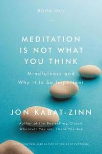 bokomslag Meditation Is Not What You Think