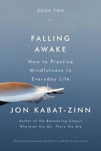 bokomslag Falling Awake: How to Practice Mindfulness in Everyday Life
