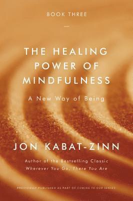 bokomslag The Healing Power of Mindfulness