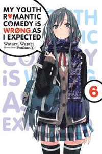 bokomslag My Youth Romantic Comedy Is Wrong, As I Expected, Vol. 6 (light novel)