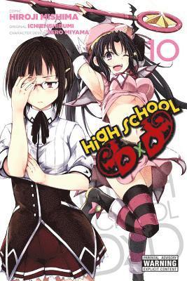 bokomslag High School DxD, Vol. 10