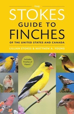 Lillian Stokes, Matthew A. Young - The Stokes Guide to Finches of the United States and Canada, Häftad
