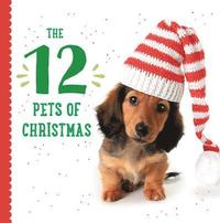 bokomslag Twelve Pets of Christmas