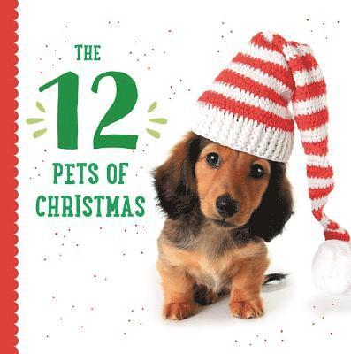 Twelve Pets of Christmas 1