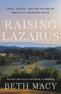 bokomslag Raising Lazarus