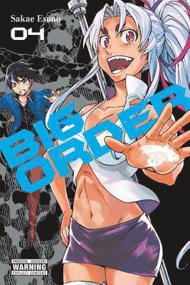 Big Order, Vol. 4 1