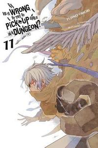 bokomslag Is It Wrong to Try to Pick Up Girls in a Dungeon?, Vol. 11 (light novel)