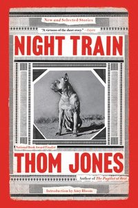 bokomslag Night Train: New and Selected Stories