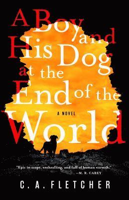 C. a. Fletcher, C A Fletcher - A Boy and His Dog at the End of the World, Inbunden