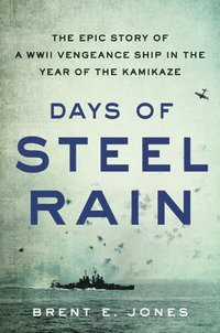 bokomslag Days of Steel Rain